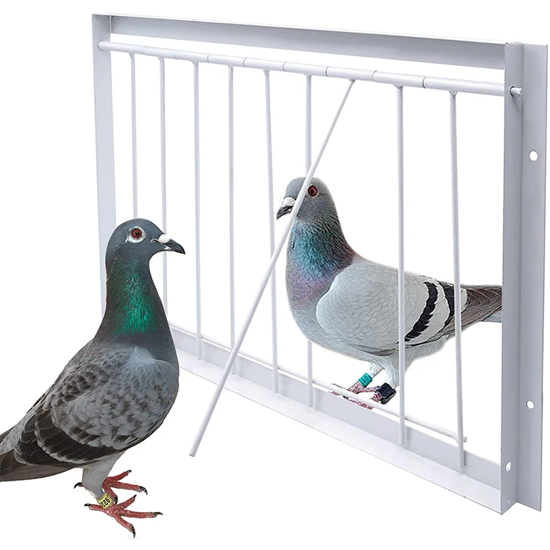 

Pigeon Door Wire Bars Frame Entrance Trapping Doors Loft Supplies Racing Birds Catch Bar Cages &amp Nests Entrance Door Curtai