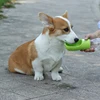 2 In 1 Pet Dog Water Bottle Cat Food Dispenser Portable Multifunctional Drinking Bowl For Small Large Dogs Travel Puppy Supplies 5