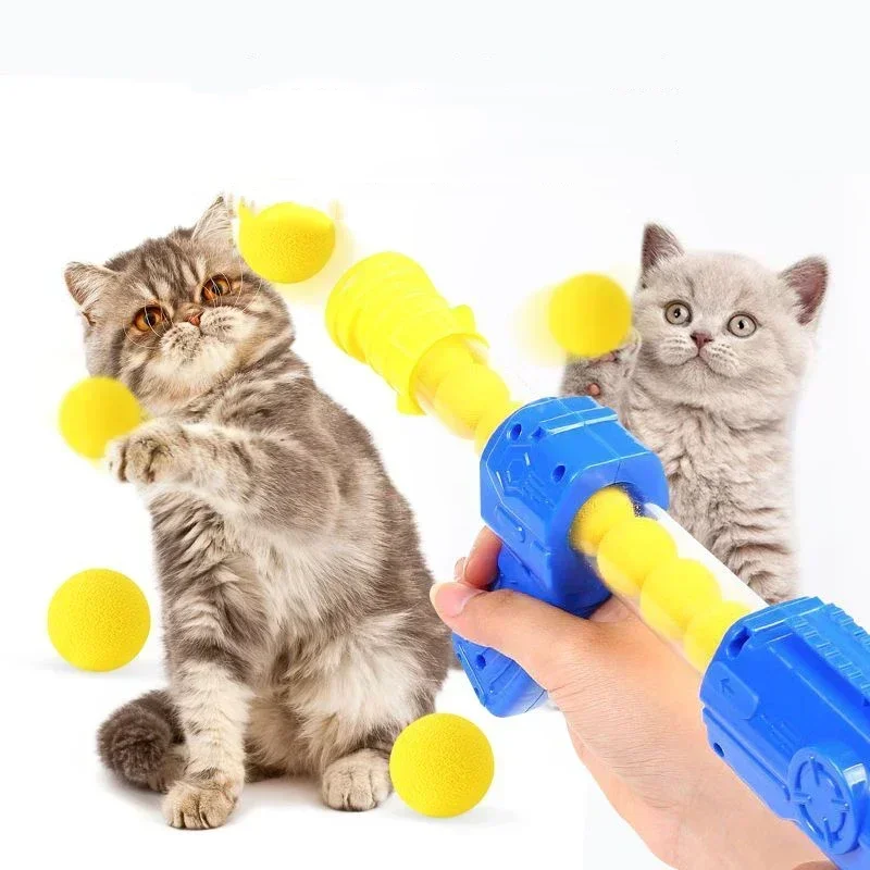 Ball Launcher Pet Toy 2