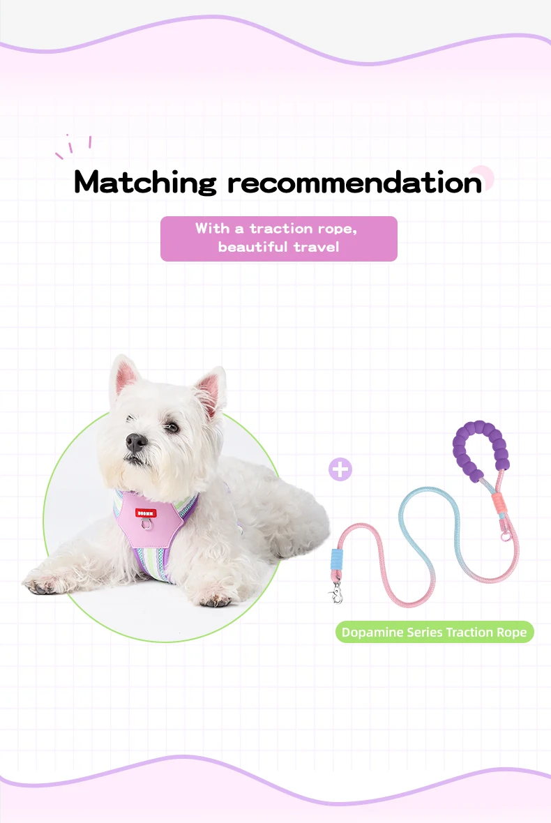 Color Block Harness For Small Dogs Breathable Mesh Pet Walking Lead_voghion.com
