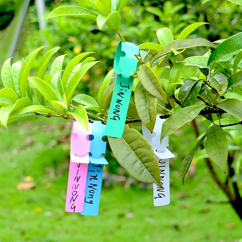 

100pcs Garden Plant Labels Plastic Waterproof Durable Nursery Gardening Plants Hanging Tags Sapling Fruit Trees Marker Signs