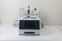 Japan Face Lift Mesotherapy Needle Free Galvanic Microcurrent Anti Aging Electroporation 2