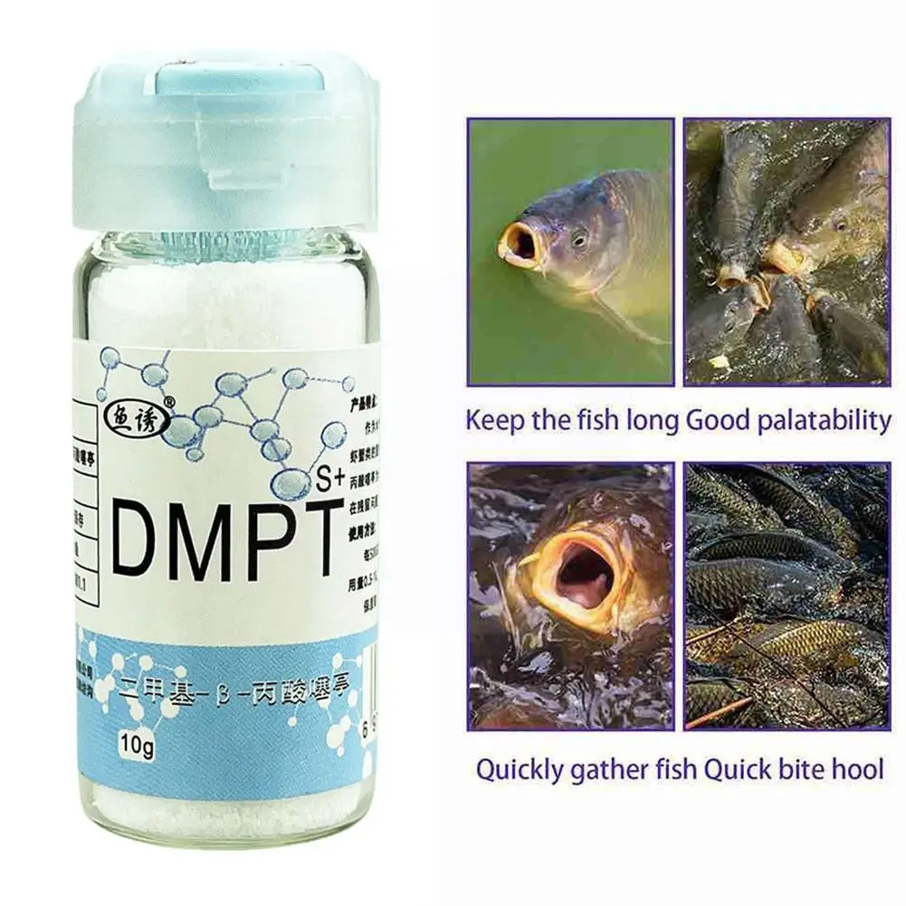 10g Strong Shrimp Scent Fish Attractant Cheese Smell Lures Baits