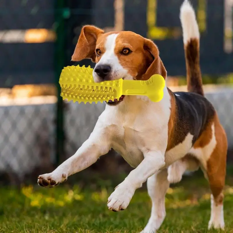 

Игрушка для чистки зубов собак из натурального каучука