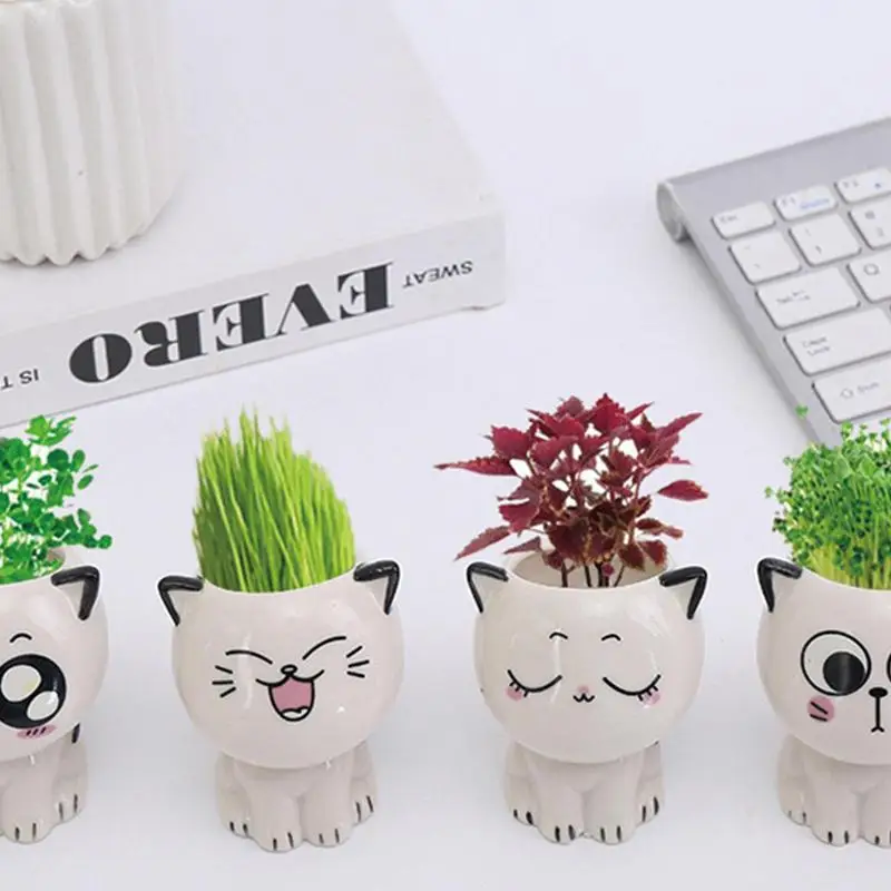 maceta-de-cer-mica-con-forma-de-mini-gato-para-decoraci-n-de-balc-n
