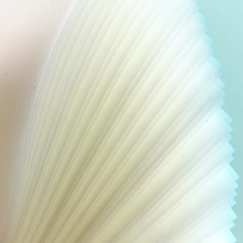 ���� ��ƼĿ �е� �޸���, Posits Papeleria ����, �б�, �繫��ǰ, ��ƼĿ �޸���, ���, ��ü ���� �޸�