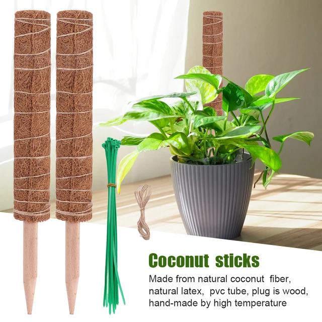 2Pcs Coir Totem Beltéri Sokoldalú, Kiterjeszthető Mohaoszlopok Növénytámogató Kúszónövények Kókuszdeszár Önzáró Csík Zsinegkészlet - Image 4