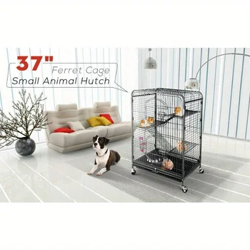 Small Animal House 2