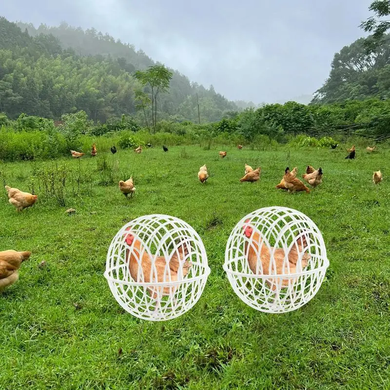 3pcs Walking Chicken Cage Safety Spherical Chicken Rolling Ball Cage Free Range Can Roll and Walk To Feed chicken rolling ball cage