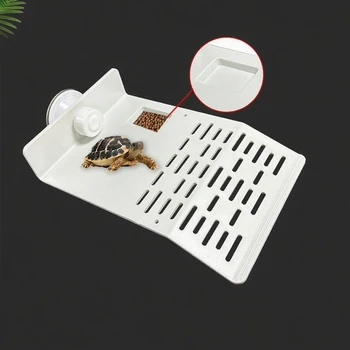 Turtle Drying Platform 1