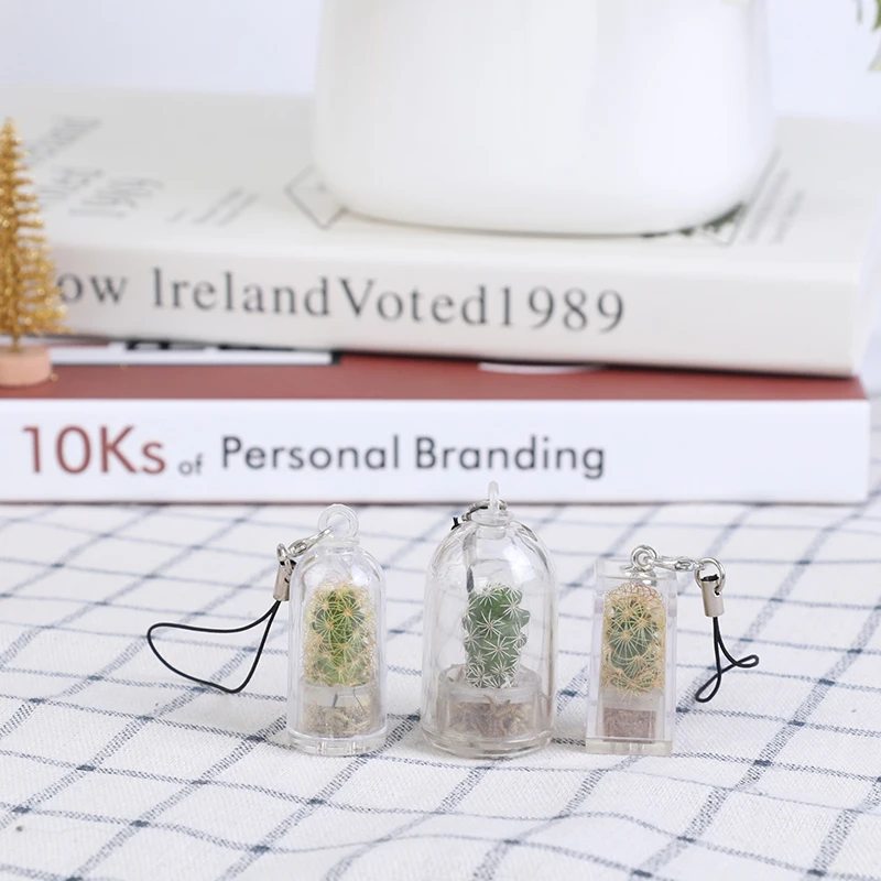 DIY Cactus Miniature Succulent Cactus Terrarium Wearable Necklace Live Succulent Plant Pendant Random Style 6