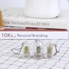 DIY Cactus Miniature Succulent Cactus Terrarium Wearable Necklace Live Succulent Plant Pendant Random Style 6