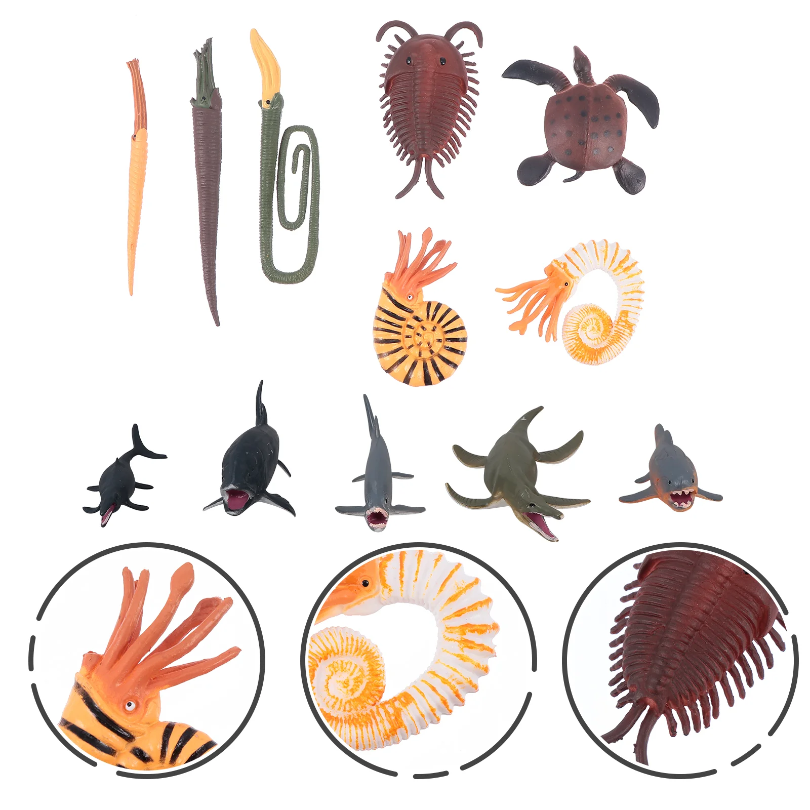 

Prehistoric Animal Models Imitated Marine Toy Simulation Plaything Creature Crafts Kids Decor