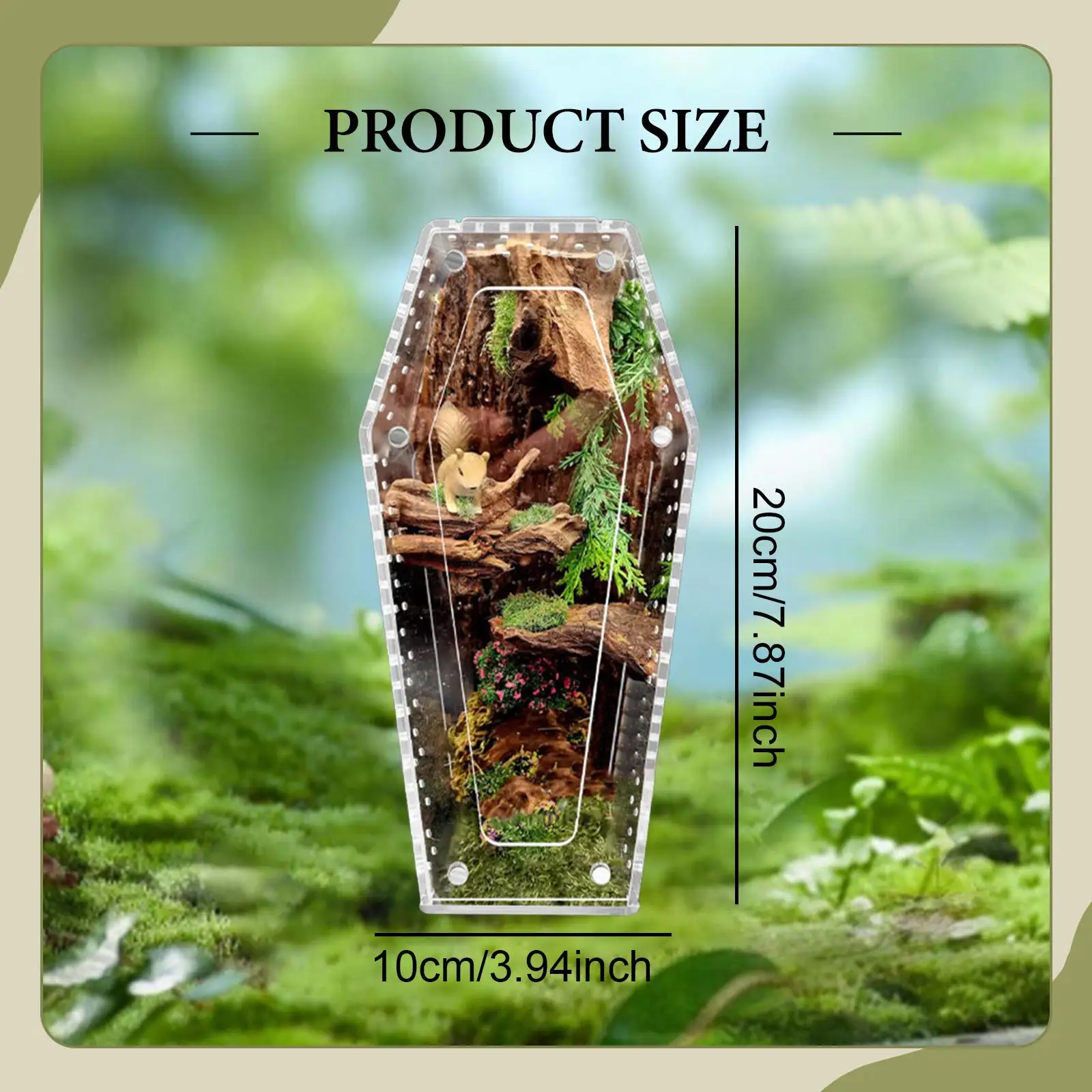 Acrylic Jumping Spider Enclosure Reptile Terrarium Spider Tank Acrylic Jumping Spider Enclosure Reptile Terrarium Spider Tank