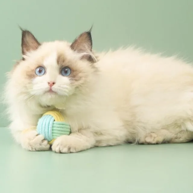 Cat Toys Cotton Balls Interactive Cat Toy Self Hi Cotton Ball Chew Toys for Cats Grinding Cat Toy Teeth Cleaning Pet Supplies 5