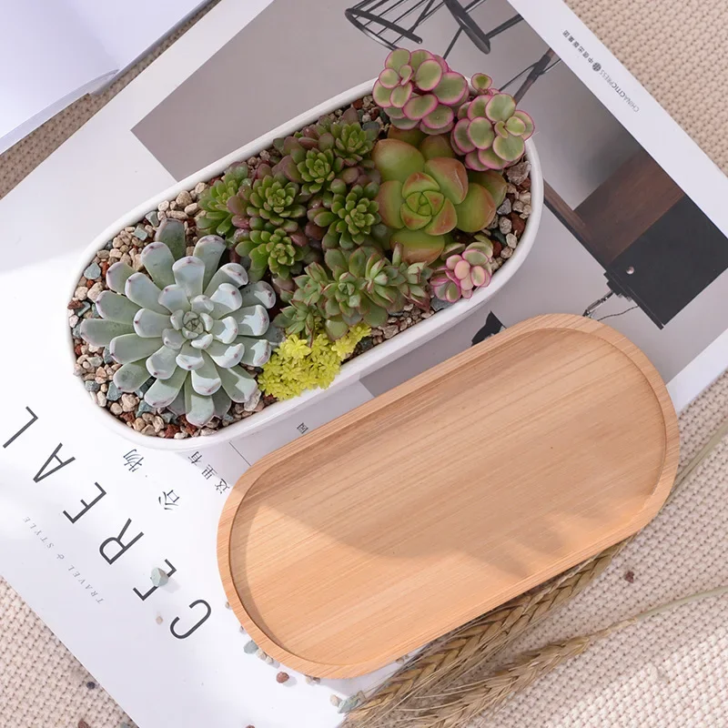 Oval Shaped Ceramic White Succulent Planter Pot with Bamboo Tray