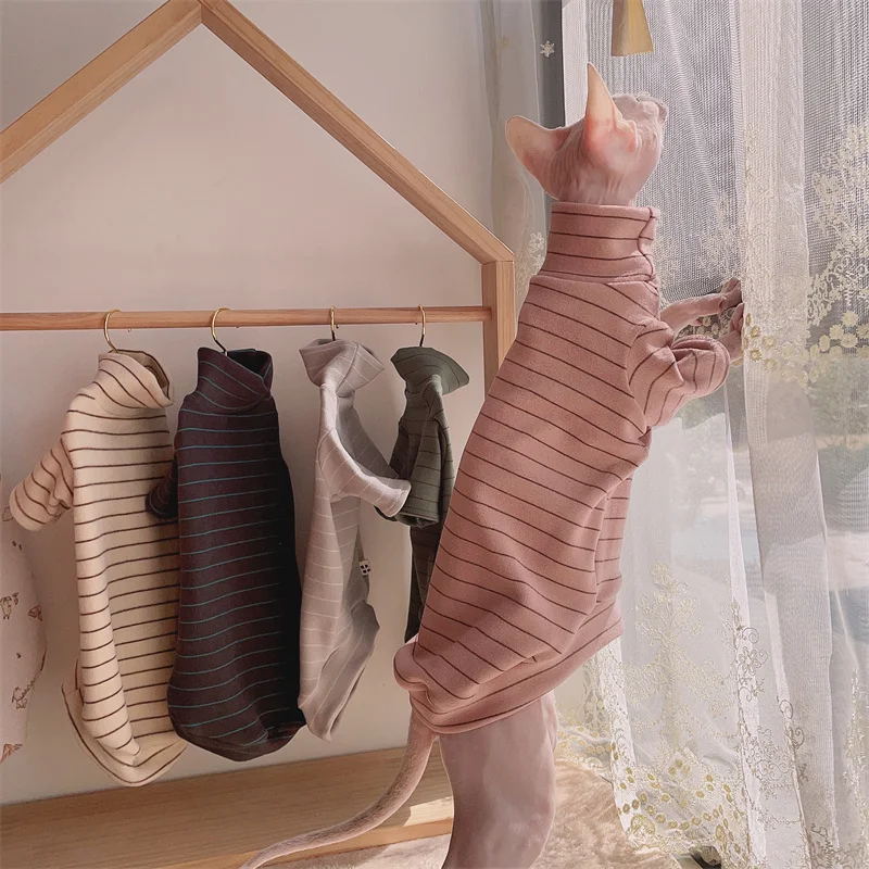 Hairless Cat Sweater That's So Fetch!