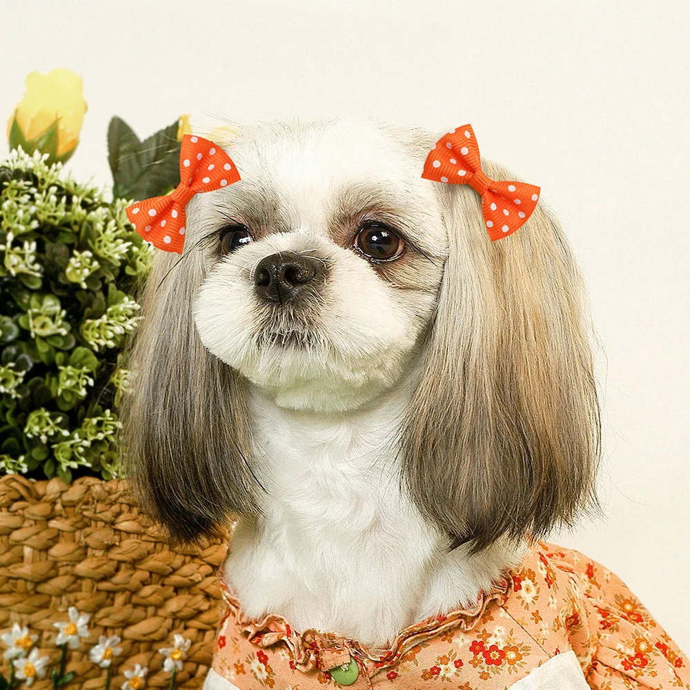 30Pcs Dot Pet Grooming Hair Clips Dog Cat Bows Hairpin Pet Girls Barrette for Small Dogs Supplies Pet Hair Grooming Accessories 6