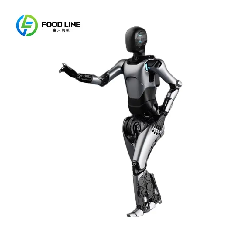 Robot Umanoide Modulare Personalizzato con Moduli Articolari Personalizzabili per Uso Industriale Specializzato e Domestico - immagine 5