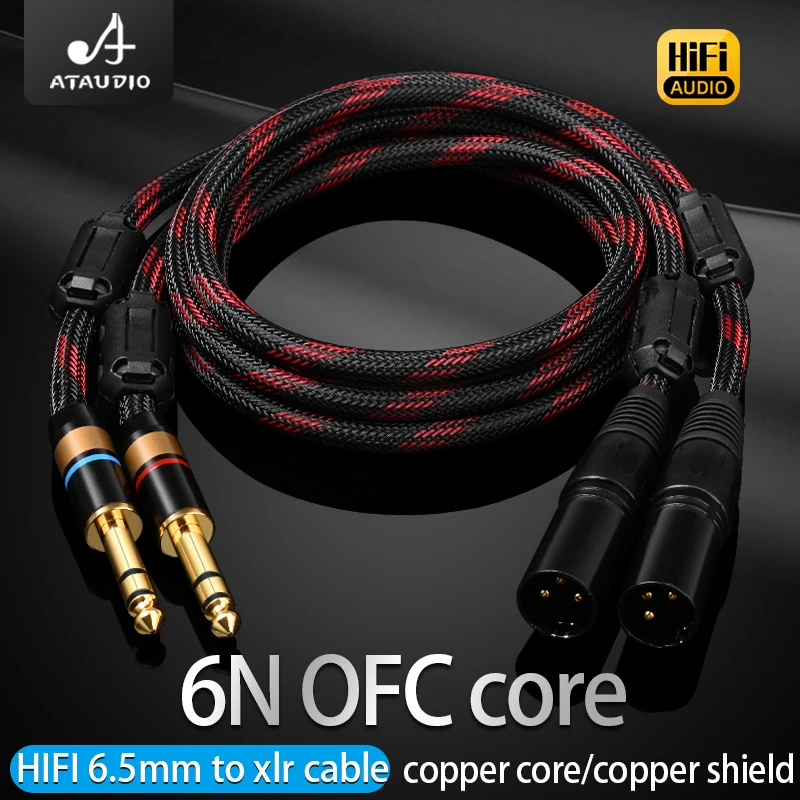 Premium High-Fidelity Dual 6.5mm to XLR Audio Cable with 6N OFC for Amplifiers and Sound Systems