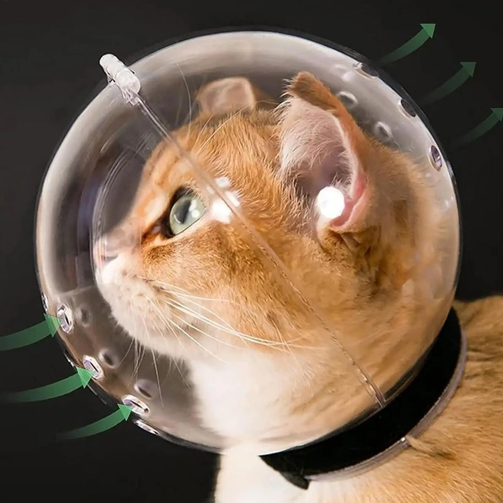 Maulkorb für Haustiere, transparente Gesichtsmaske, Katzenbiss-Zubehör, Anti-Leck-Kapuze, atmungsaktiver Helm_voghion.com