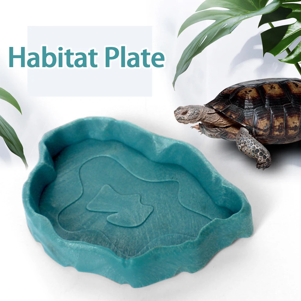 Versatile Small Reptile Feeding & Bathing Dish for Lizards, Turtles