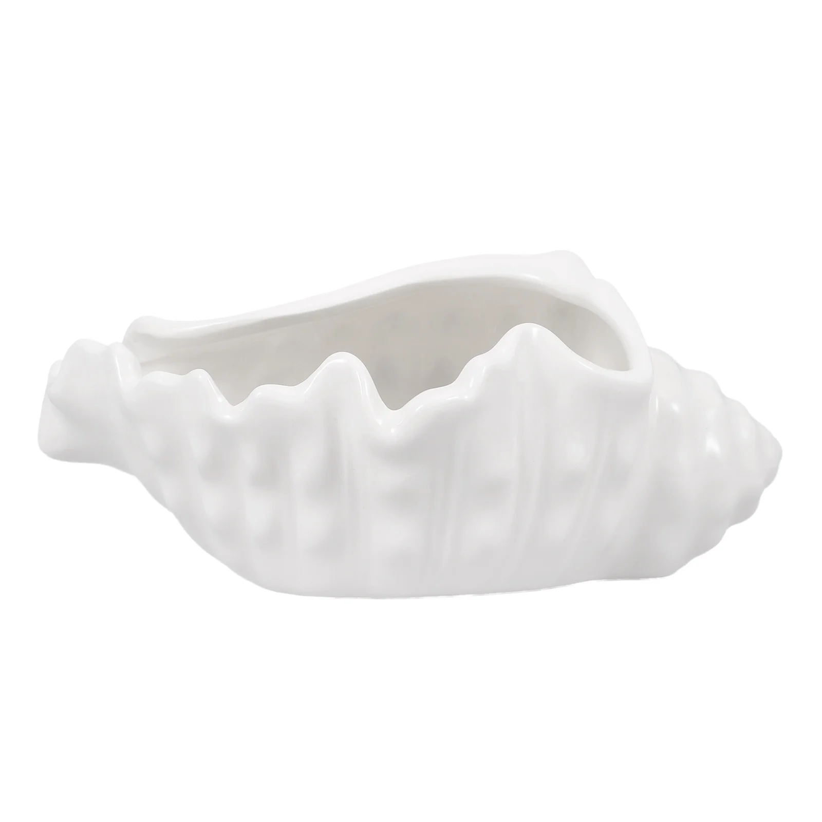 

Jewelry Tray Perfume Key Bowl Conch Trinket Dish Decorate Decorative Ceramics Holder
