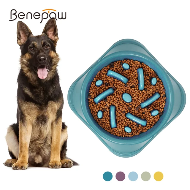 WHIPPY Slow Feeder Bowl for Small Medium Dog Fun Maze Feeder Dog Food Water  Bowl Anti-Slip Puzzle Bowl No Chocking Healthy Interactive Bloat Stop Dog