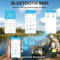 Batterie LiFePO4 12V 100Ah 200Ah 140Ah 24V LFP Portable USB PD 6000+ Cycles Bluetooth BMS pour Bateau Batterie Lithium 12.8V Stock UE 5