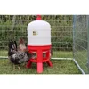 Little Giant 10 Gallon Plastic Dome Poultry Waterer,Gravity Fed Container for Chickens Ducks Birds,Hobbyists Farmers Ranchers