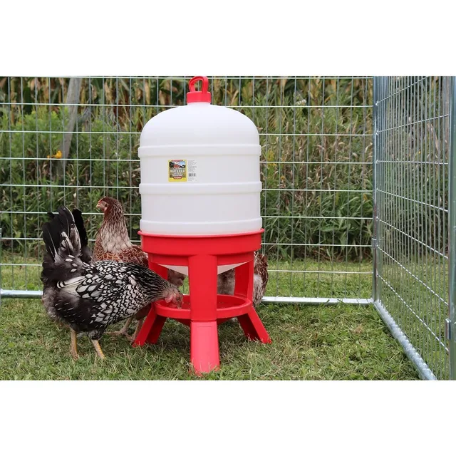 Little Giant 10 Gallon Plastic Dome Poultry Waterer,Gravity Fed Container for Chickens Ducks Birds,Hobbyists Farmers Ranchers