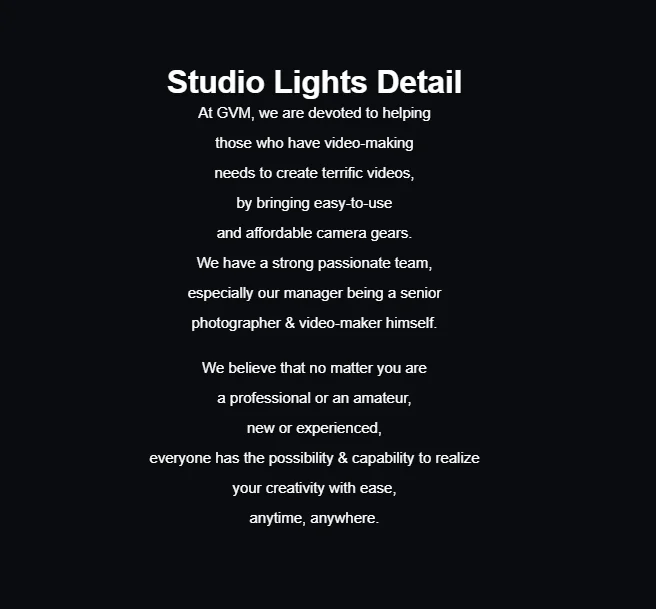 480LS Photographic Lighting Professional Photography Studio Light Flood Light Le