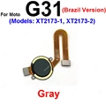 G31 Gray-Brazil