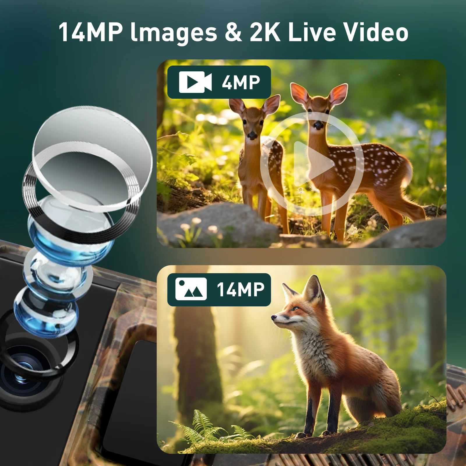 4G LET Card Solar Wildlife Camera 14MP Hunting Trail Camera IP66 Waterproof 14MP APP Motion Detection IR Night Vision Device