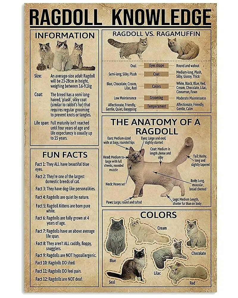Veidsuh Ragdoll Knowledge Tin Sign Metal Sign Metal Sign Tin Sign Wall Art