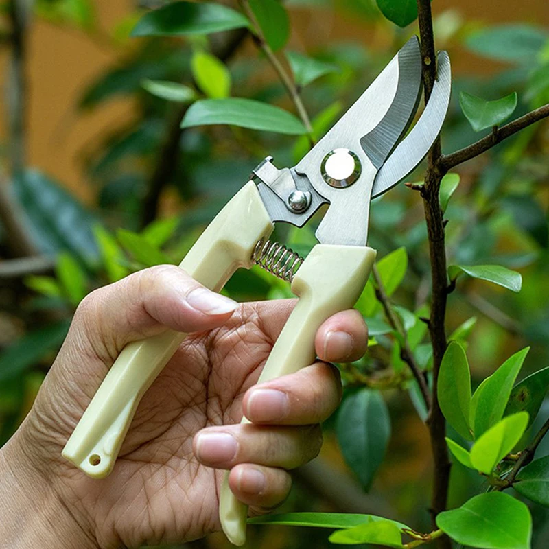 

Pruning Garden Scissor Professional Garden Trimmer Orchard Scissor Hand Tools Bonsai Gardening Chopper Pruning Scissor 175/190mm