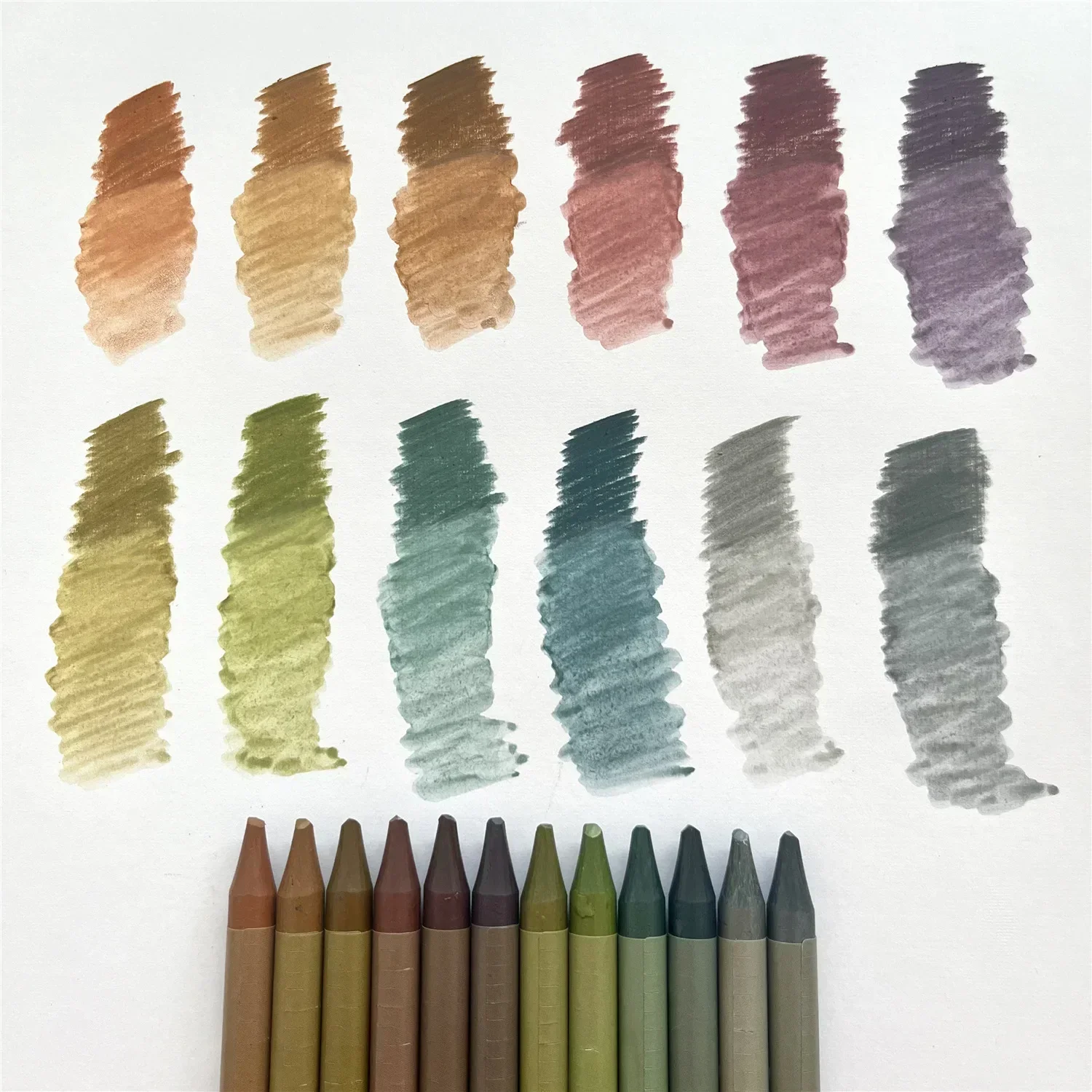Color Pencils Woodless Watercolor Pencils 12 Drawing Pencils Set For Adults Students Artists