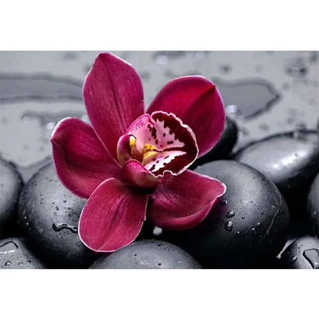 5D Diamond Painting Phalaenopsis Orchid Cross Stitch Kits Flower Diamond Embroidery Mosaic Drill Landscape Home Decoratie 