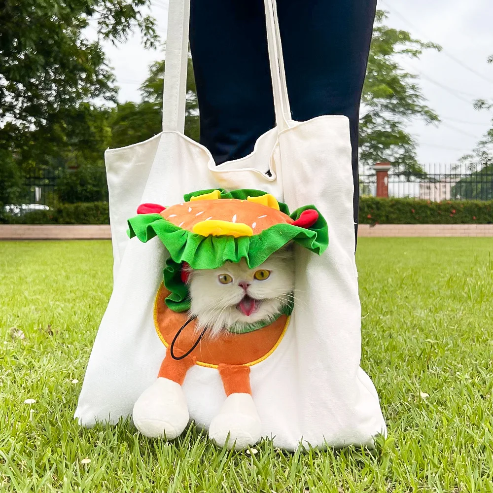 Pet outdoor shoulder bag cartoon lion cat bag dog for outdoor travel teddy bear comparison English short corgi