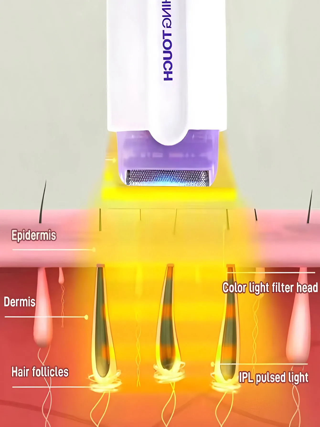 Electric Shaver Hair Removal Device for Women