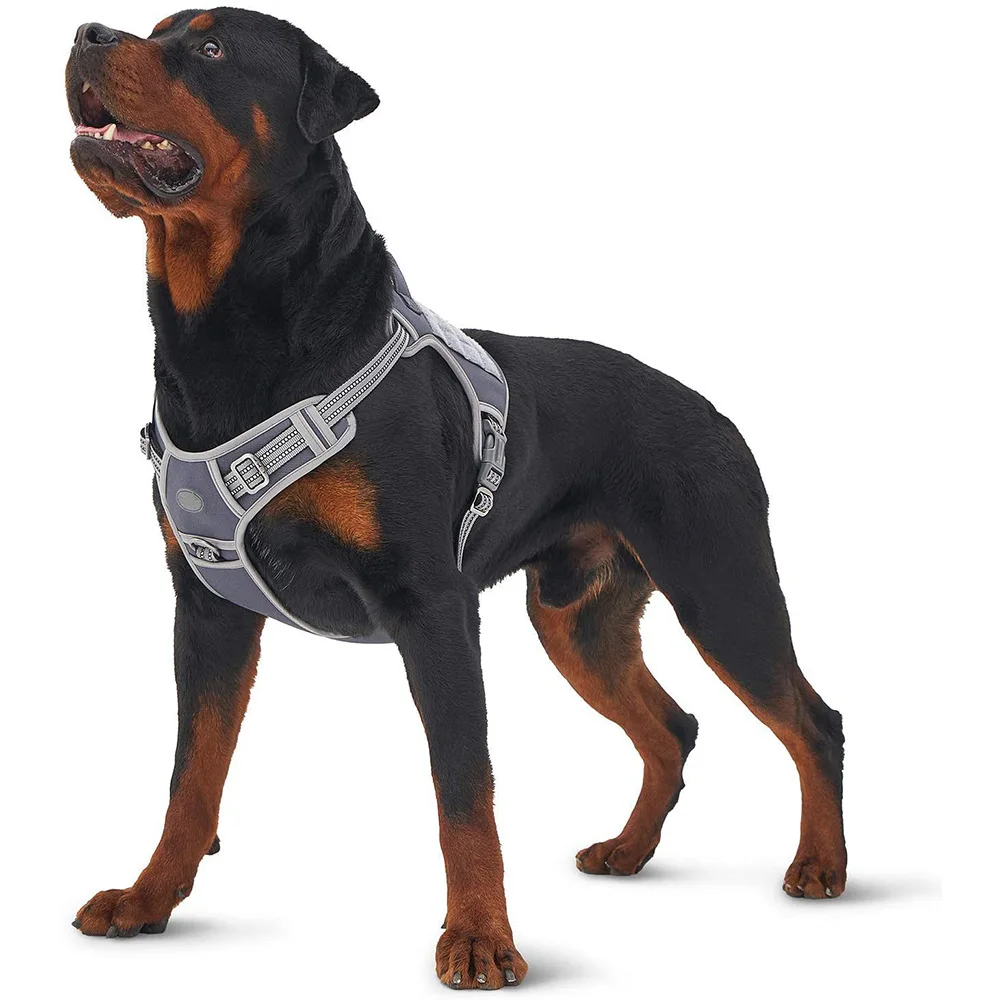 NEW* Leather Assistance Dog Harness with Velcro