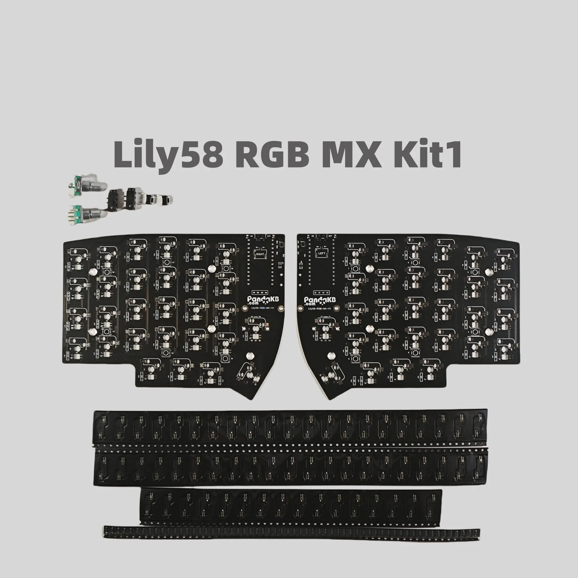 dsc-products