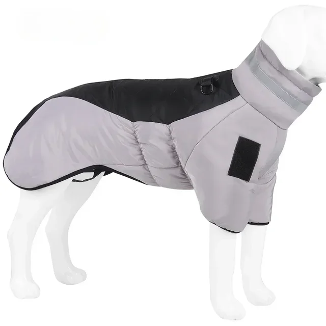 gray-black