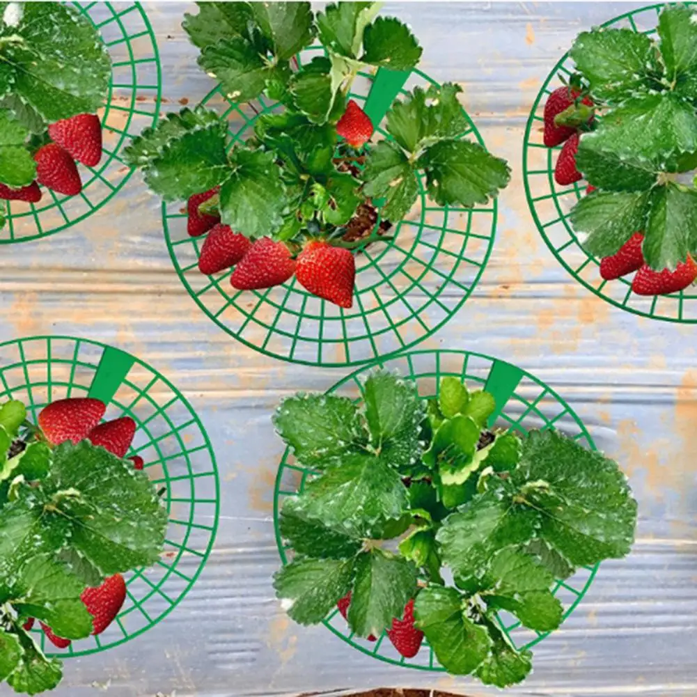 

10Pcs Strawberry Supports with 3 Sturdy Legs Durable Plastic Strawberry Plant Stands Keeps Berries Clean for Rapid Ripening Gard