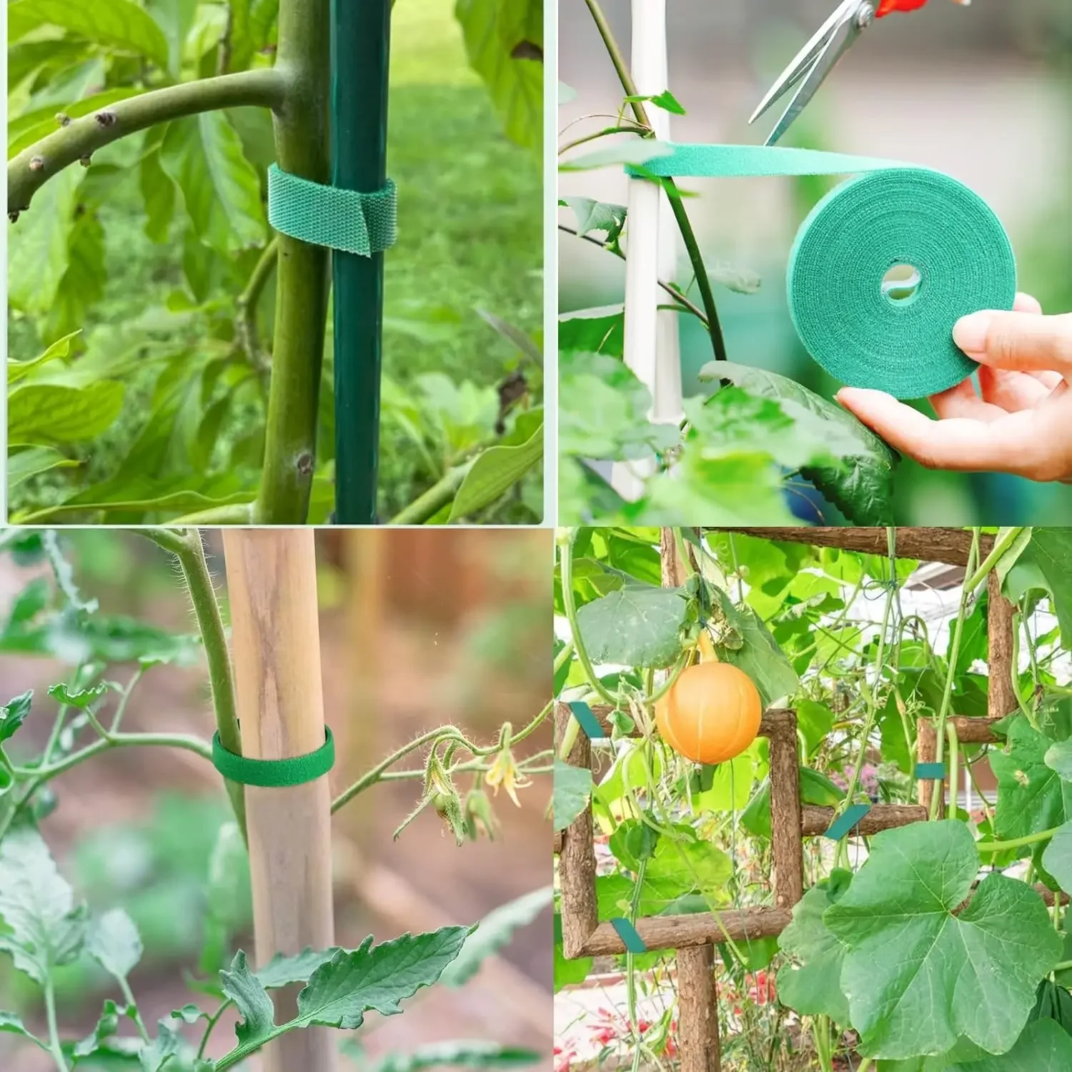 12mm x 5M Green Garden Plant Tie Tape Hook Loop Garden Strips Adjustable Tree Tie Plant Stake Cane Support Wrap Tape for Growing 2