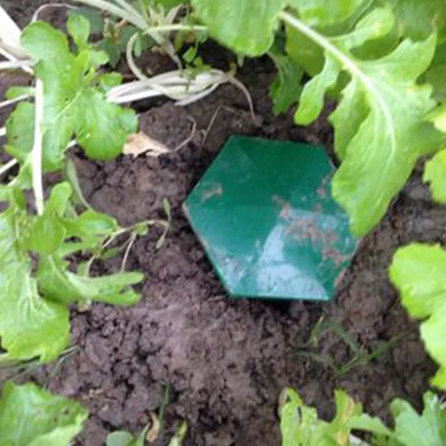 Környezetbarát Csiga Ketrec Slug House Csigacsapda Fogó Kártevők Csaliállomás Eszközök Állati Kártevőirtó Kerti Farmvédő - Image 5