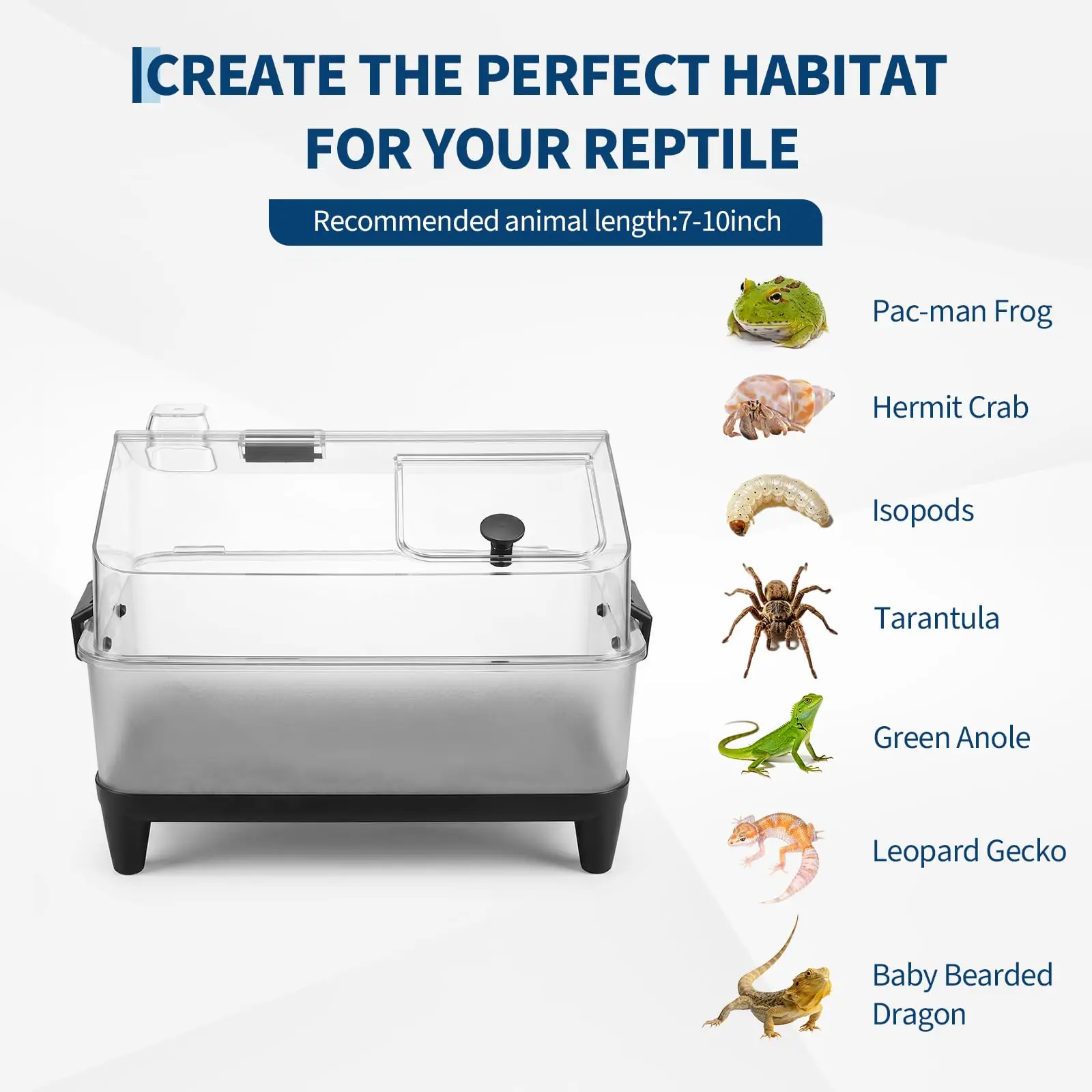 Small Reptile Terrarium Kit With Lid, Acrylic Tank, Heating Pad, Hygrometer, Hide & Bowl For Gecko Lizard Tarantula Frog Crab 8