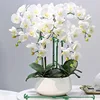 Plastic Plant Supports Stakes Flower Stand Sticks Reusable Protection Fixing Tool Flower Grow Holder Garden Tools 5