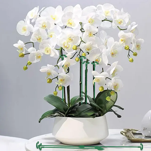 Plastic Plant Supports Stakes Flower Stand Sticks Reusable Protection Fixing Tool Flower Grow Holder Garden Tools 5