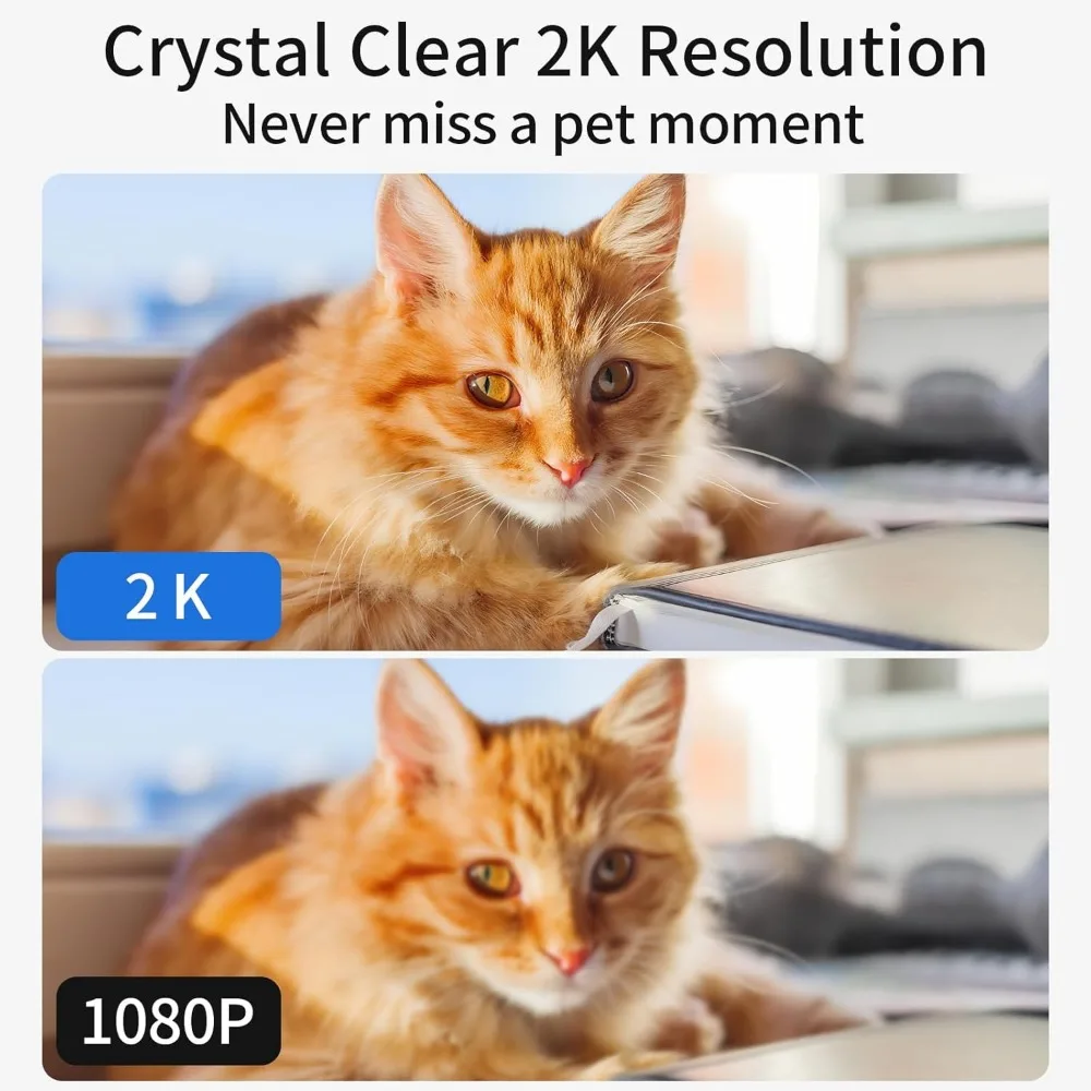 Smart Pet Camera Laser 5